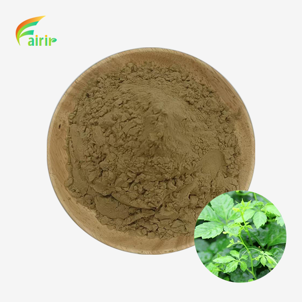 Gynostemma Pentaphyllum Extract Powder